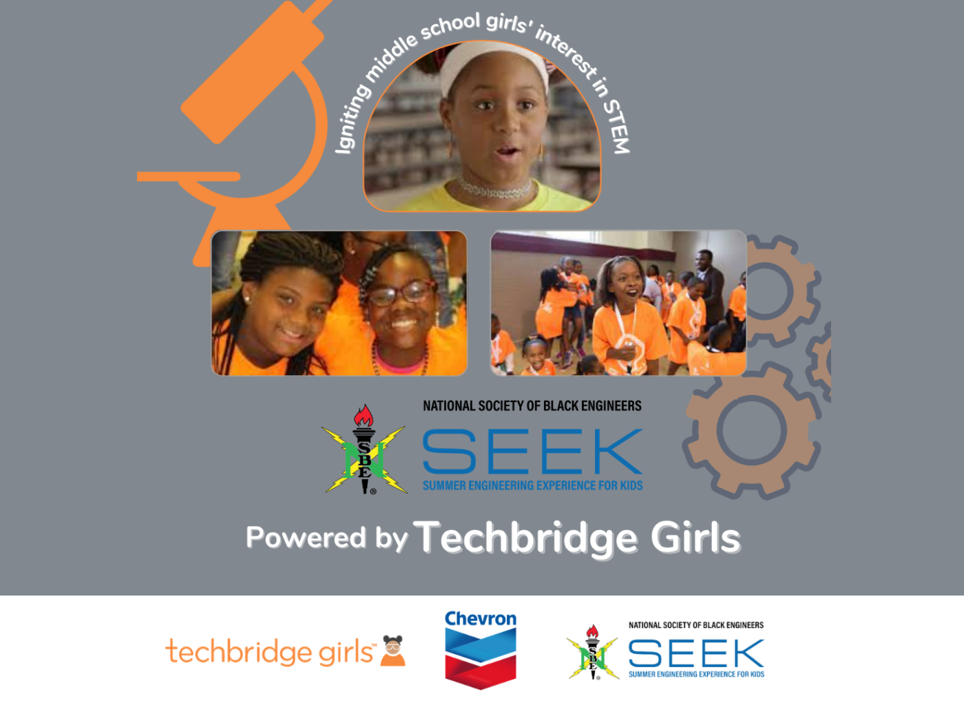 Techbridge Girls - Chevron STEM class