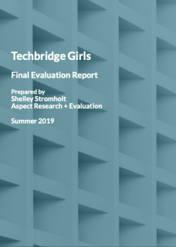 Summer 2019 Final Evaluation Report