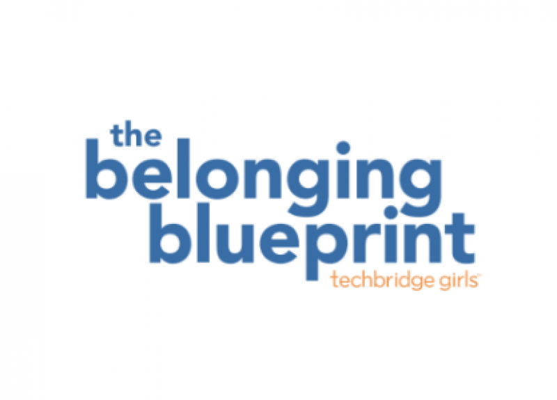 The Belonging Blueprint Logo White Space